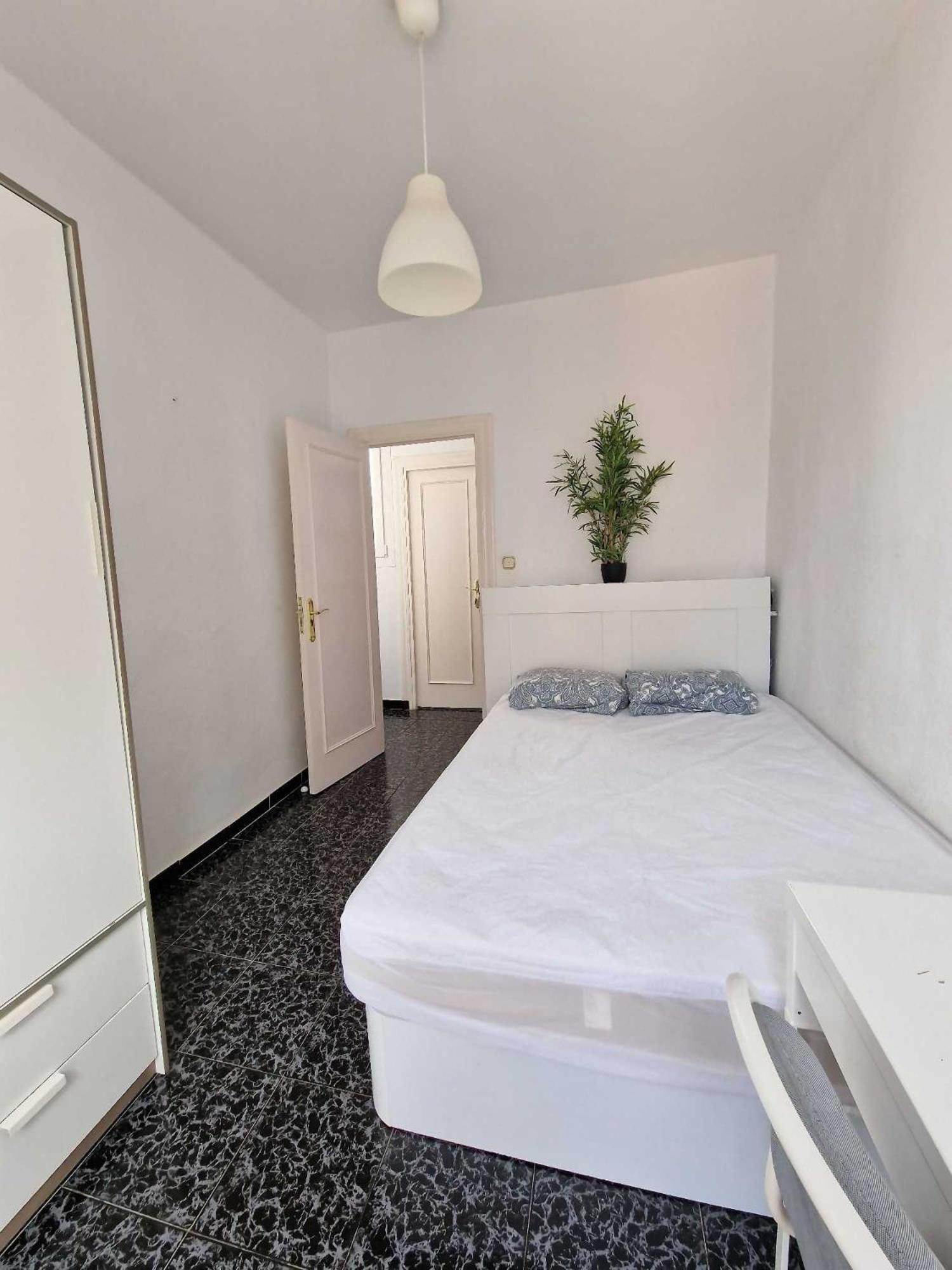 3 Rooms Con Parking Especerias Malaga Zewnętrze zdjęcie